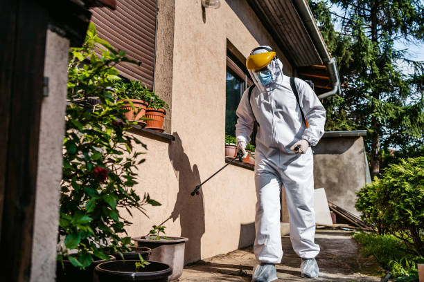 Best Cockroach Control Services  in Plainville, KS