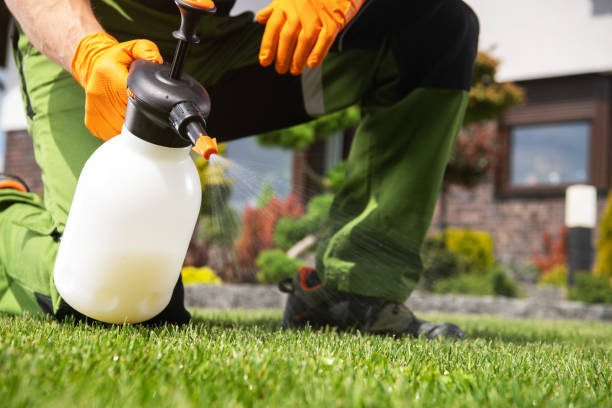 Best Affordable Pest Control Services  in Plainville, KS