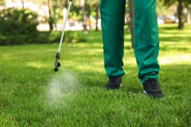 Best Pest Prevention Services  in Plainville, KS
