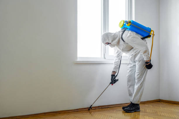 Pest Prevention Services in Plainville, KS