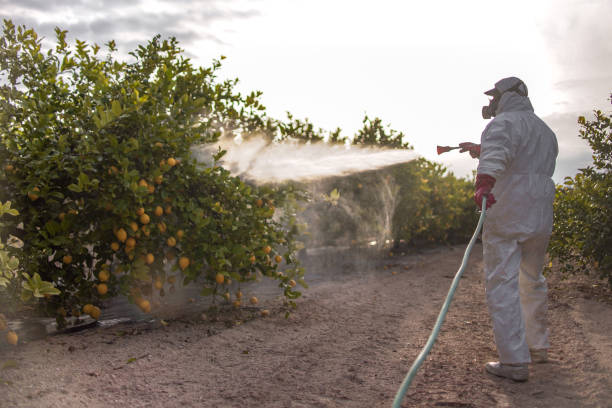 Best Pest Removal Services  in Plainville, KS