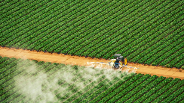 Trusted Plainville, KS Pest Control Experts