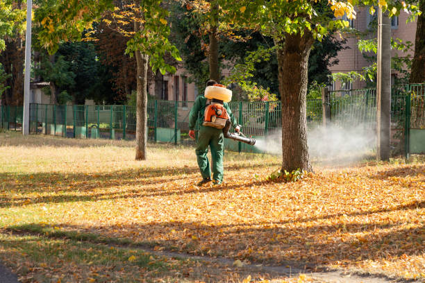 Best Flea Control Services  in Plainville, KS